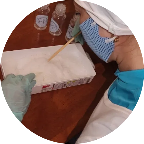 選別している様子