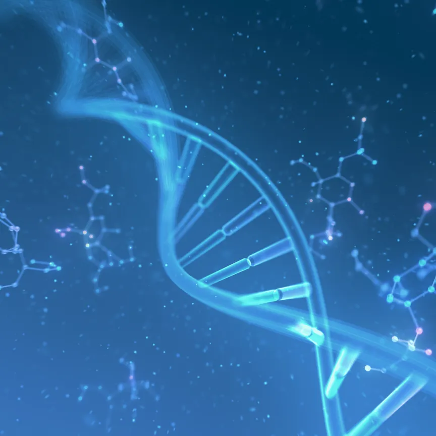 DNAのイメージ画像