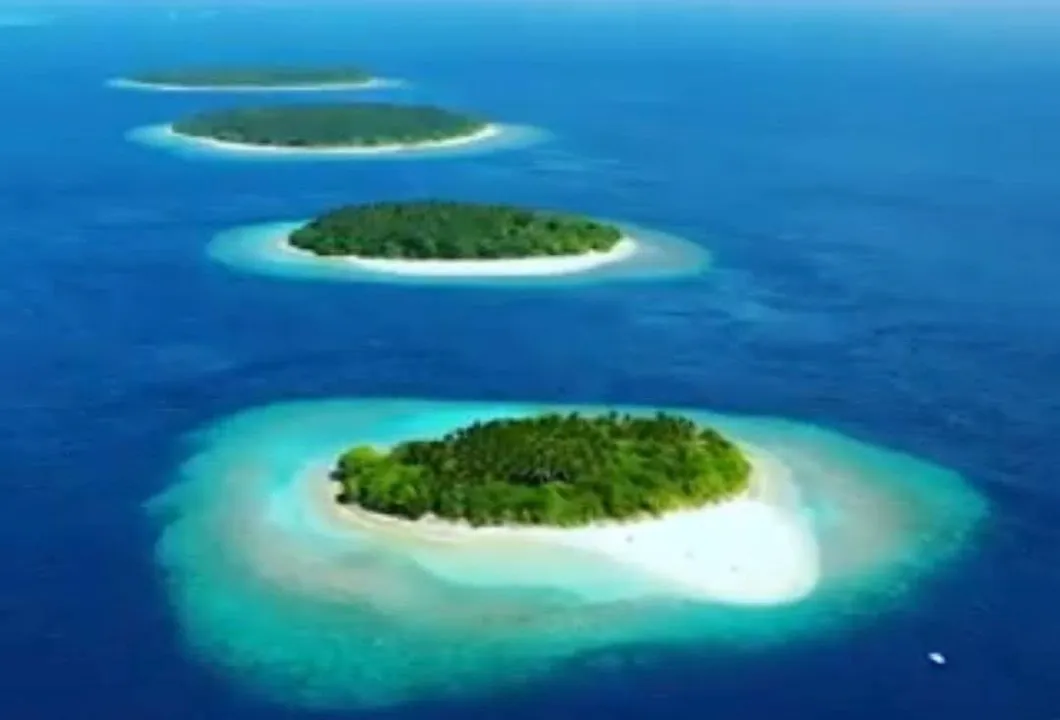 神の雫〜Elixir Salt〜