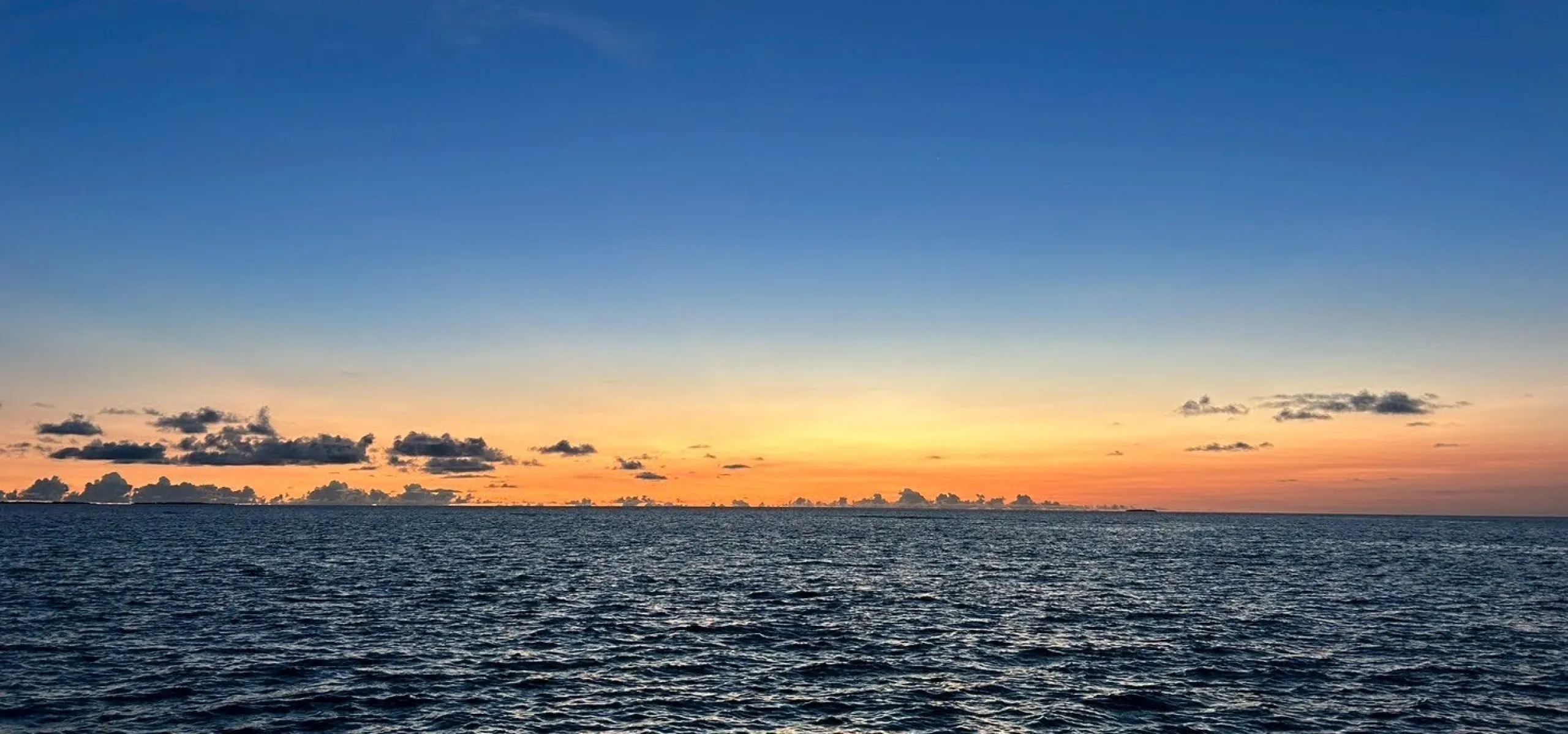 ブランドストーリー